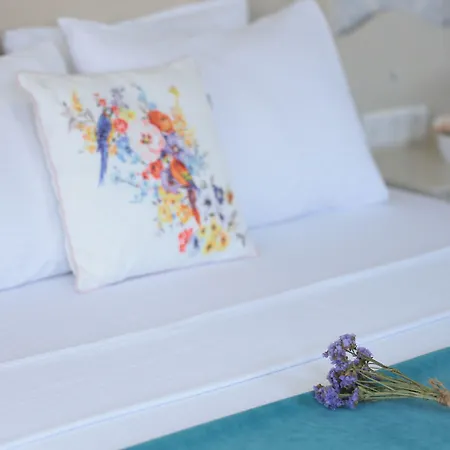 Hotel Cunda House Kuecuek Ayvalı